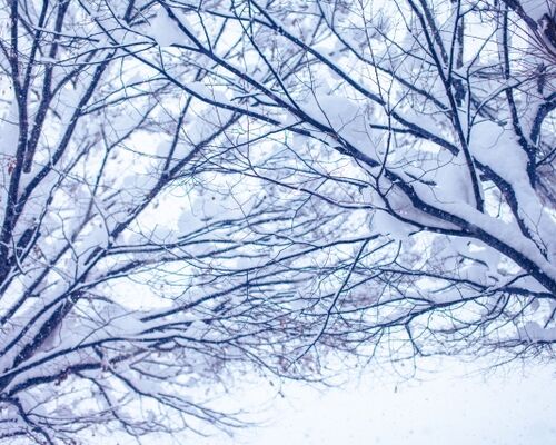 55981187-60DF-4915-8FA6-27CC18A1D551