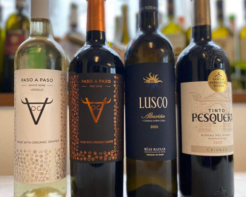 355331827_647390217414858_4134598231859110287_n